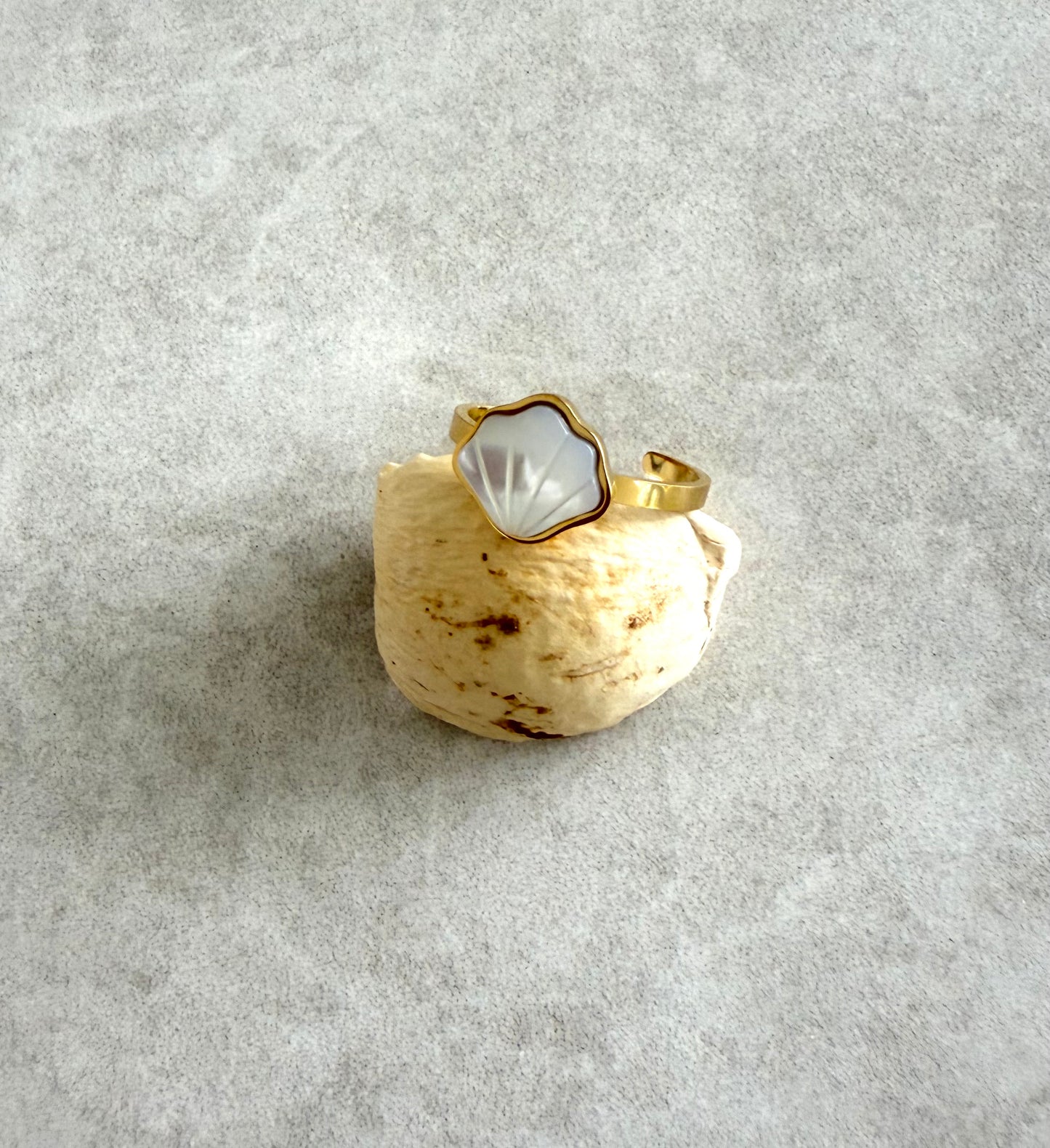 Anillo  almeja en shell