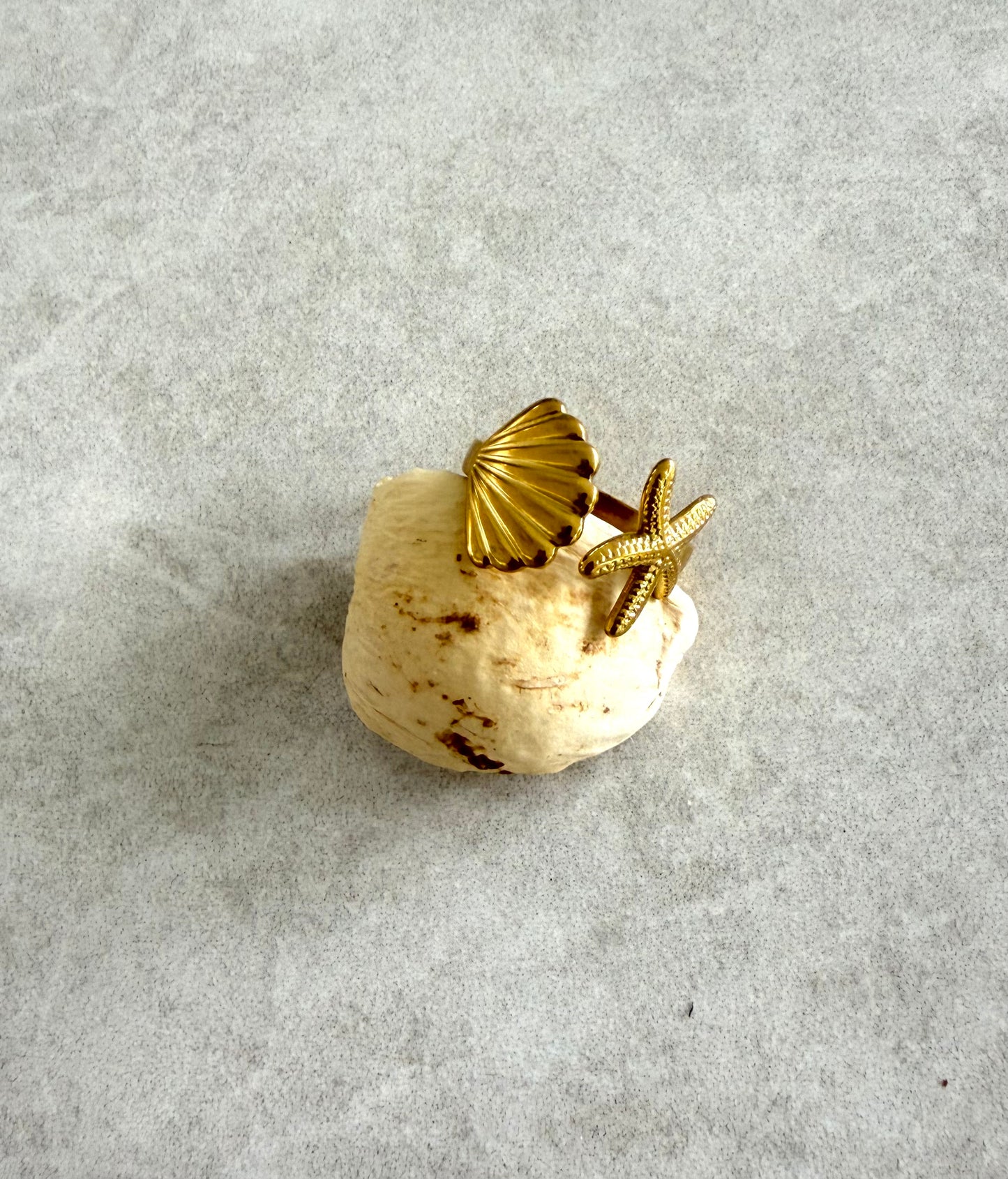 Anillo almeja y estrella de mar