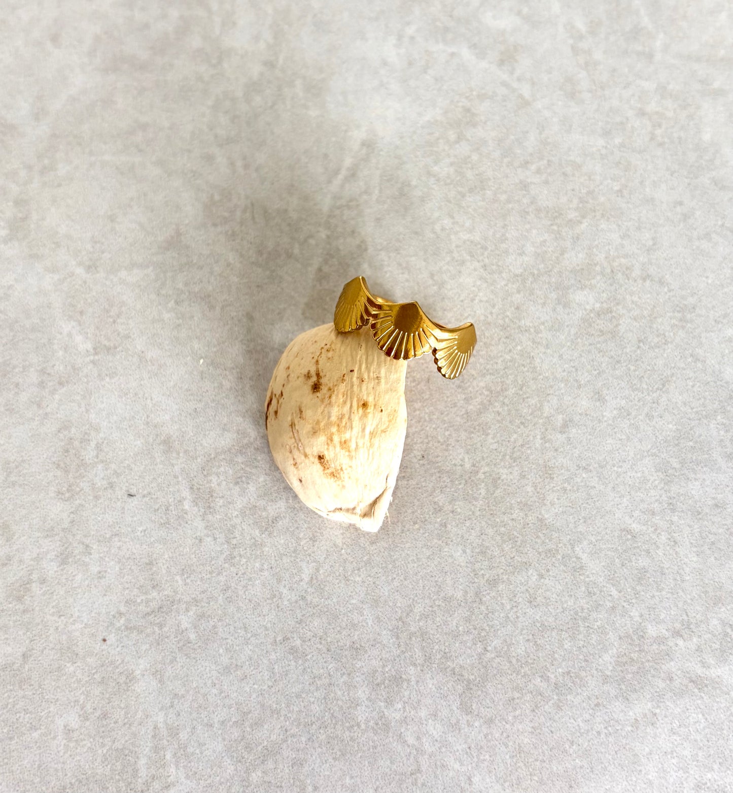 Anillo Almejas