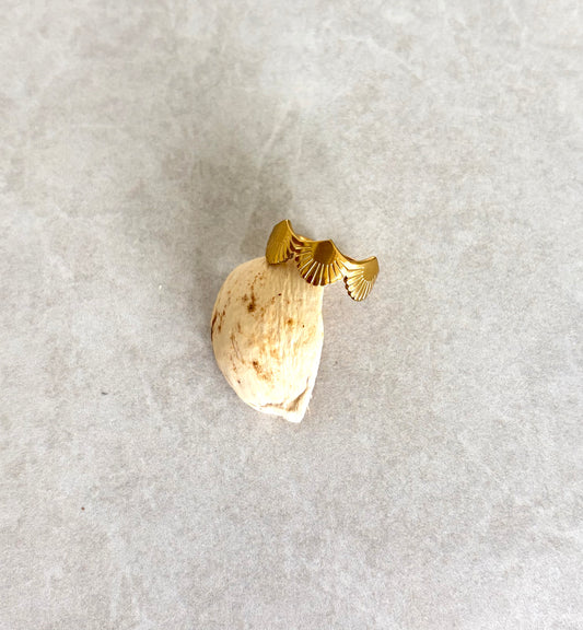 Anillo Almejas