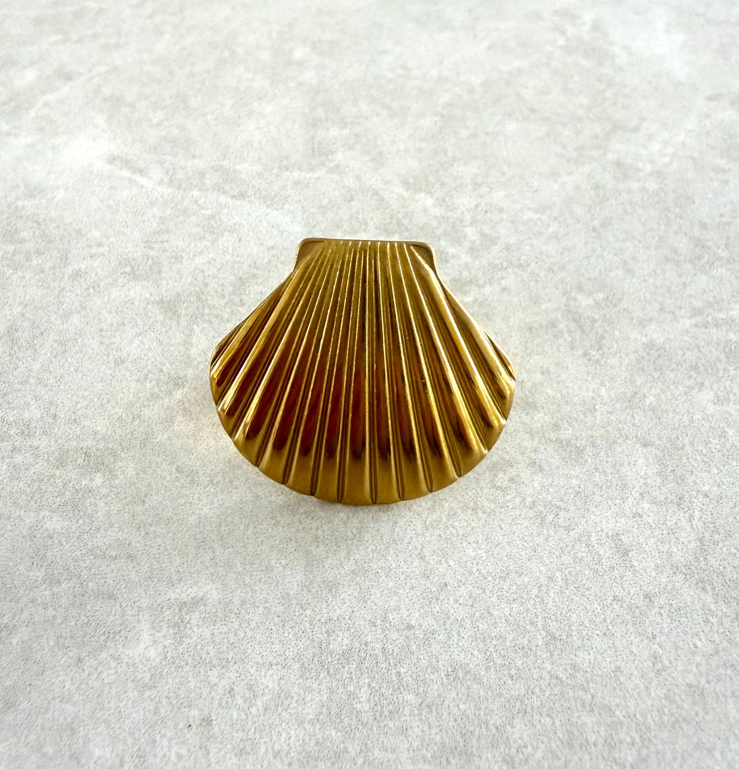 Anillo gran almeja