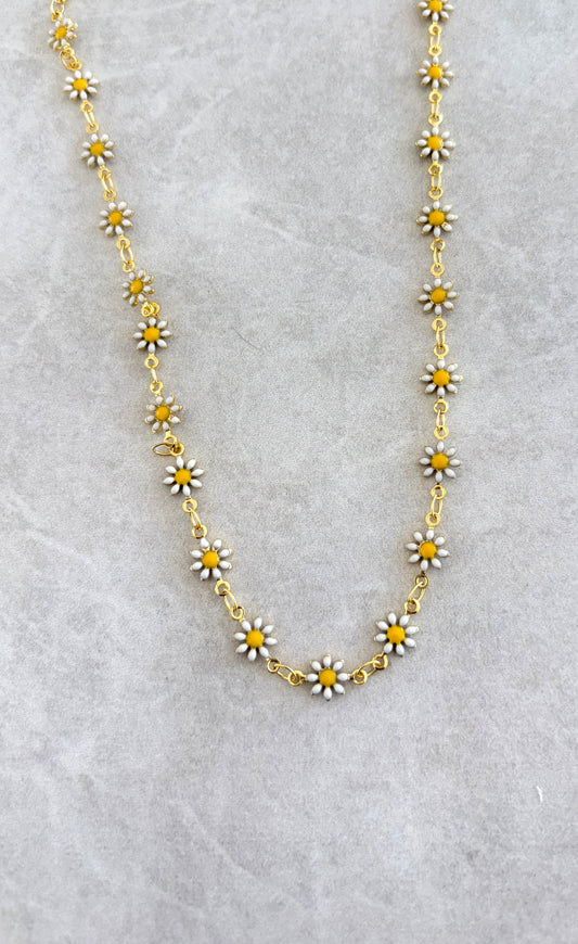 Cadena margaritas blancas